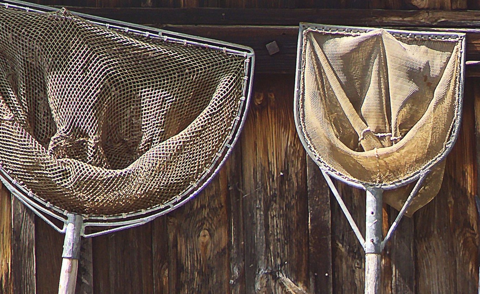 Verschiedene Kescher