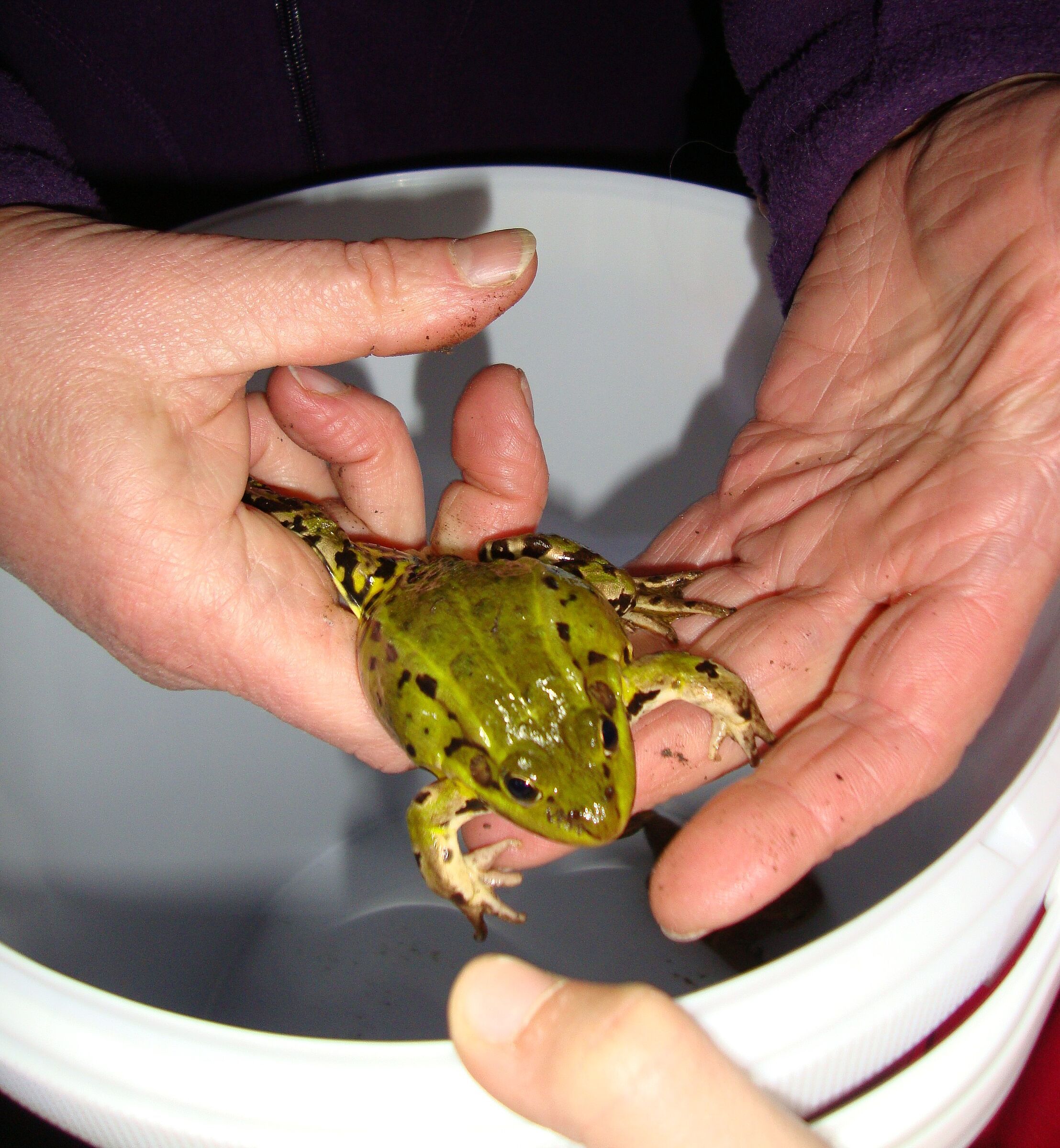 Foto: Margit Döring