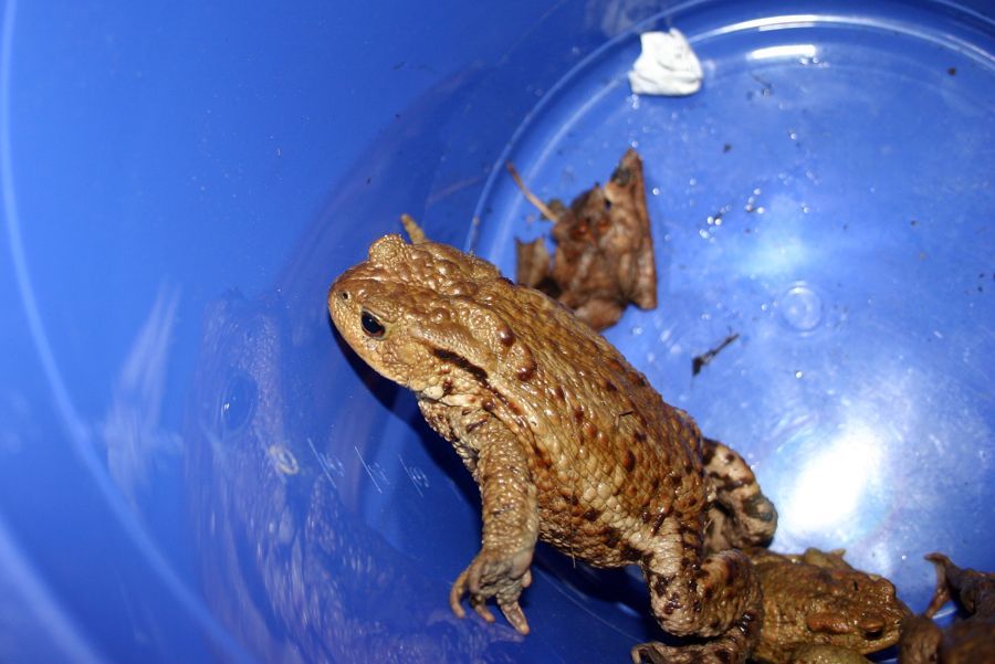 Foto: Margit Döring